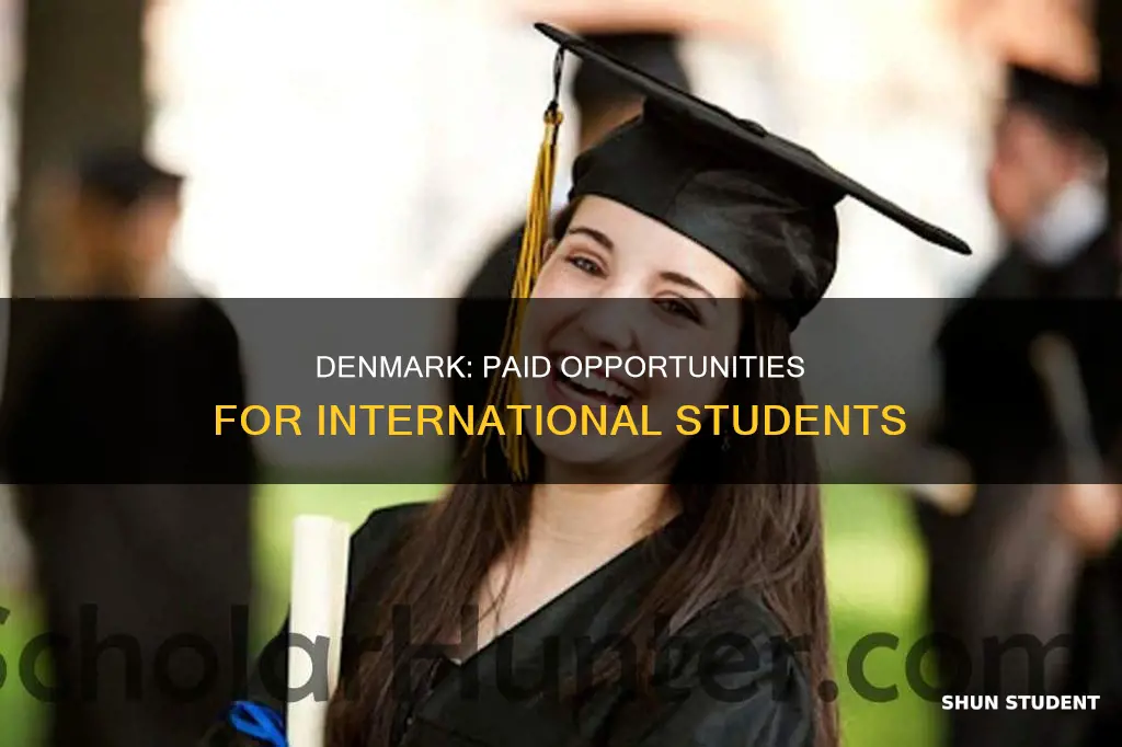does denmark pay international students