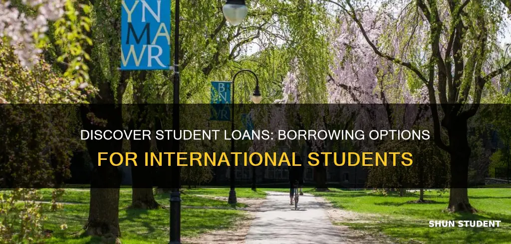 does discover borrow money to international student