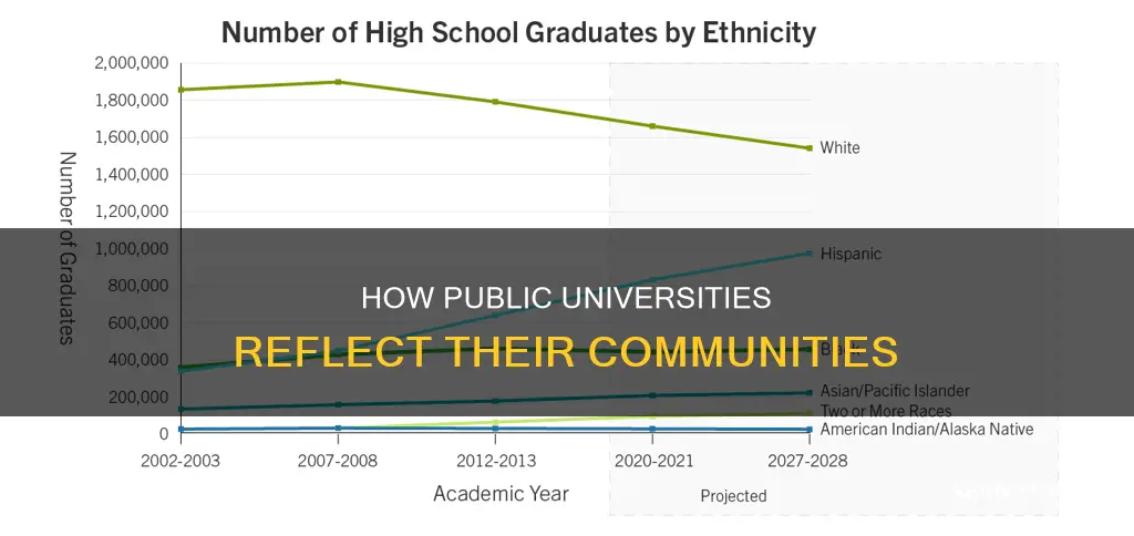 does does a public university if demographics of their students