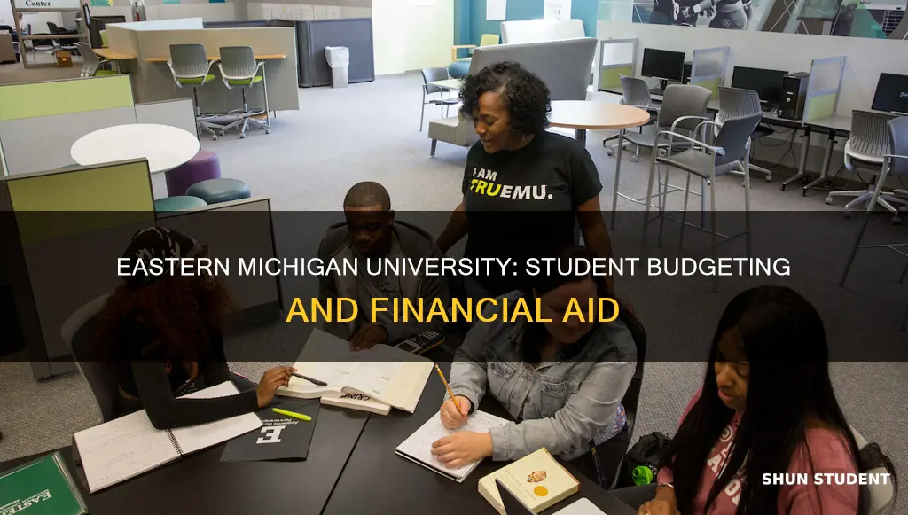 does eastern michigan university have a budget for students