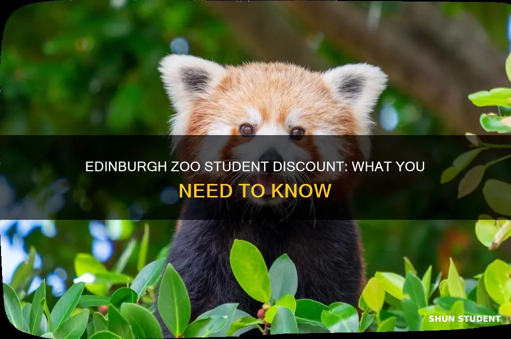 does edinburgh zoo do student discount