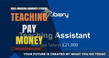 Emerson Teaching Assistant Pay: What's the Deal?