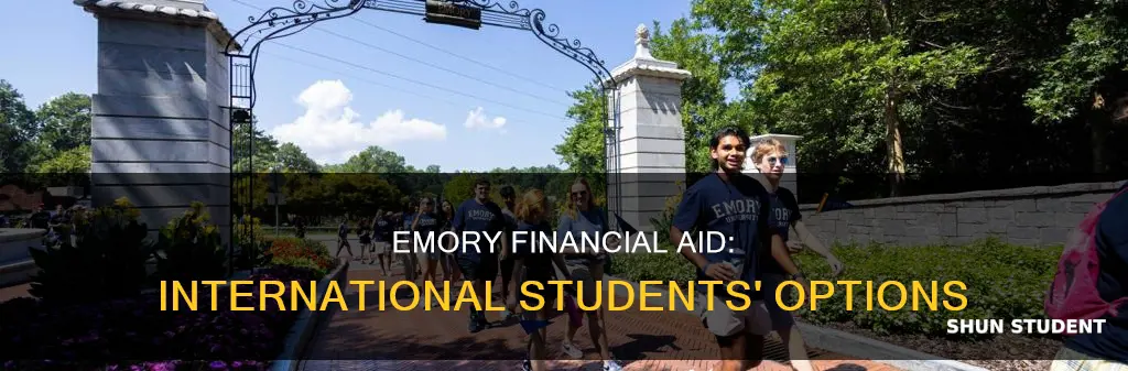 does emory give financial aid to international students