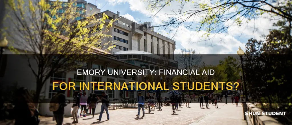 does emory university give financial aid to international students