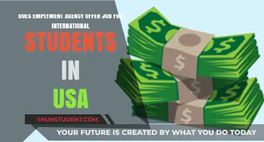 Employment Agencies: Job Opportunities for International Students?