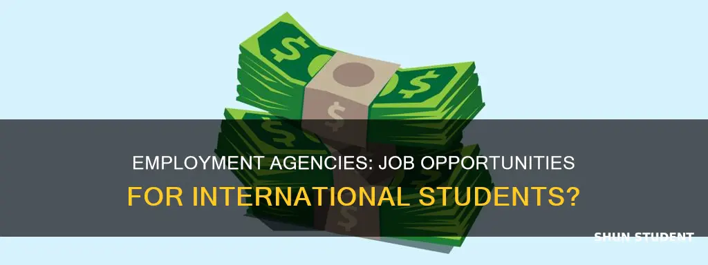 does emplyment agency offer job for international students in usa