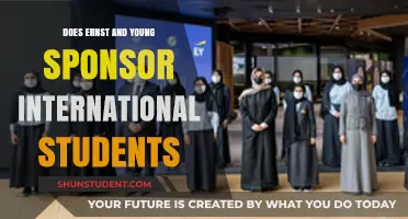 Ernst and Young: International Student Sponsorship Opportunities