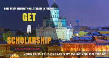Scholarships in Finland: Available for All International Students?