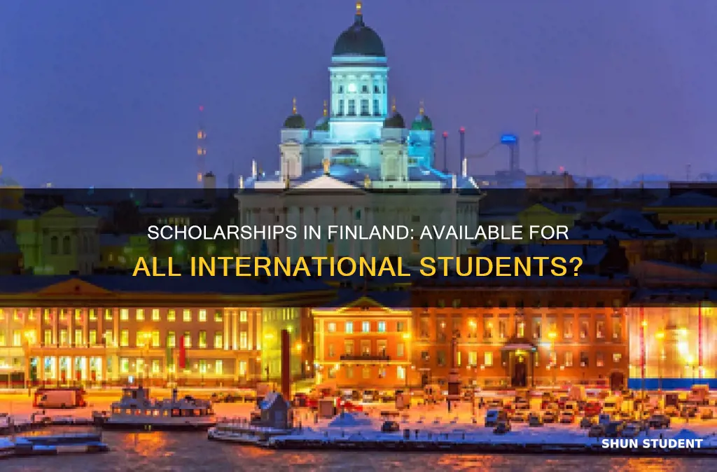 does every international student in finland get a scholarship