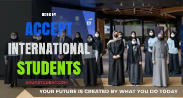EY: A Global Opportunity for Students?