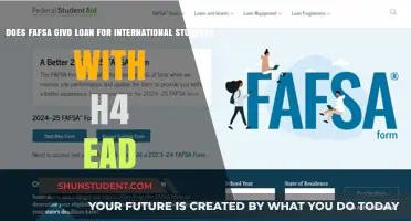 FAFSA Loans: H4 EAD International Students Eligible?