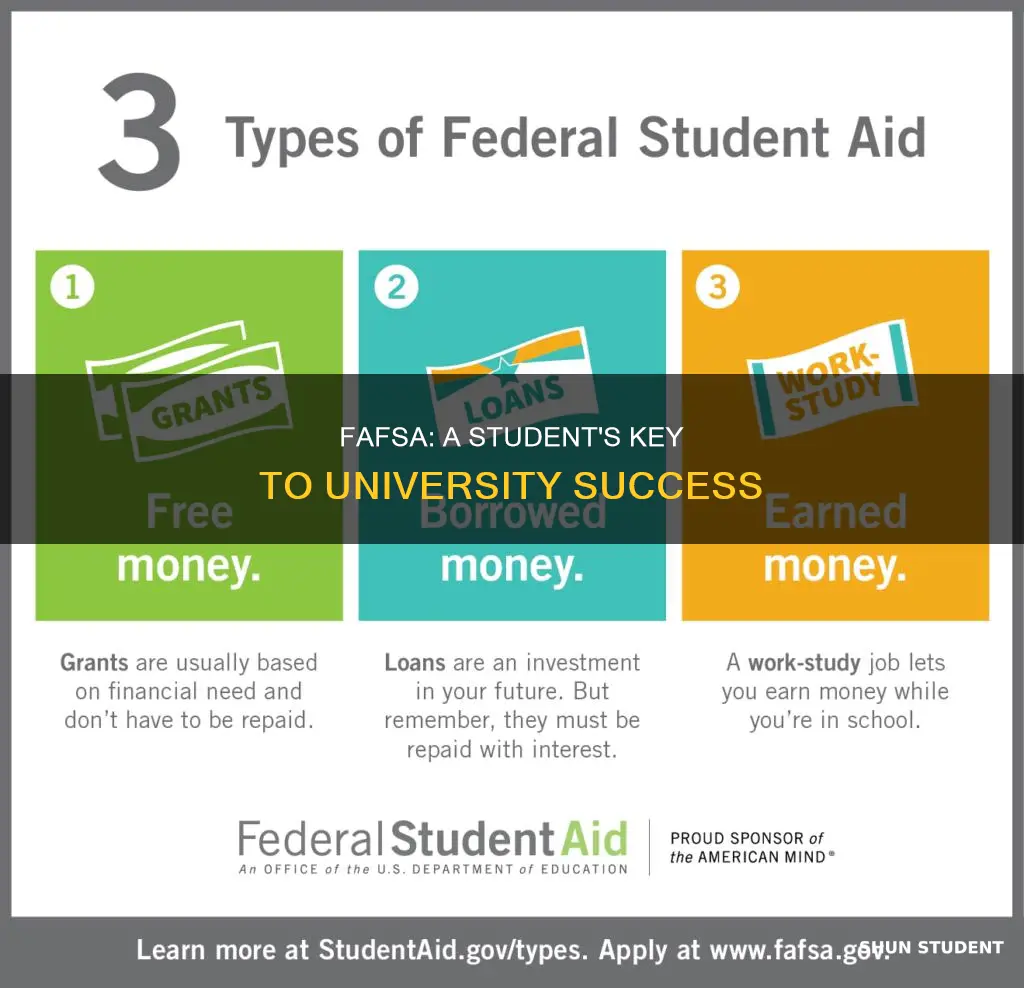 does fafsa help a student in university