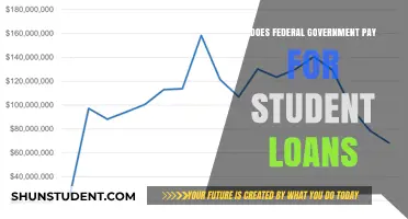 Student Loans: Who Pays and How?