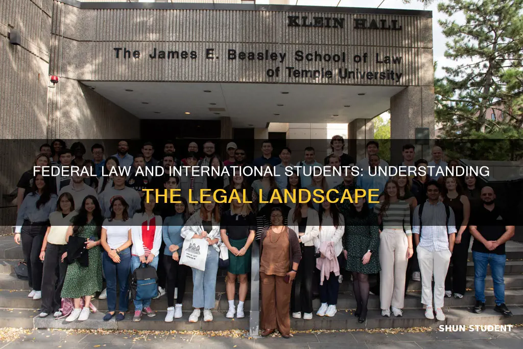 does federal us law apply to international students
