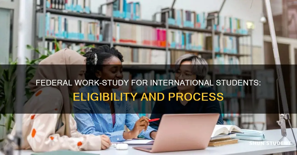 does federal work study apply for international students