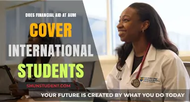 Financial Aid Options for International Students at AUM