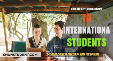 FIU Scholarships: International Students' Opportunities