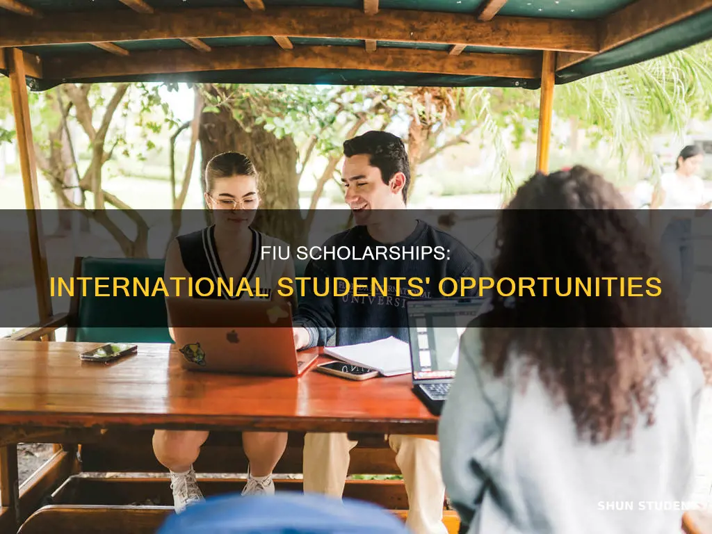 does fiu give scholarships to international students