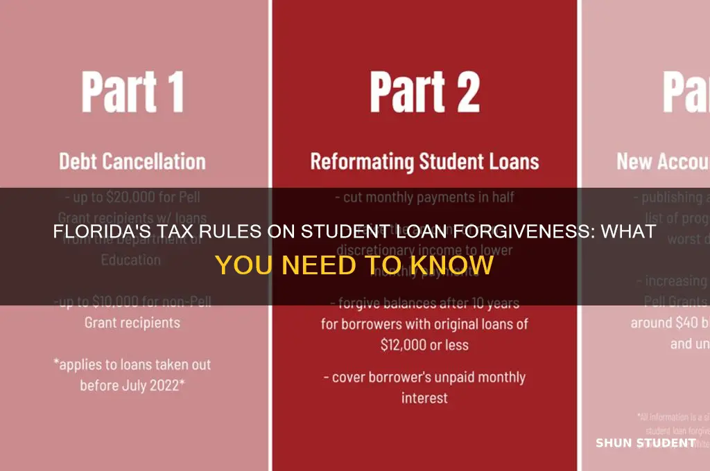 does florida tax student loan forgiveness