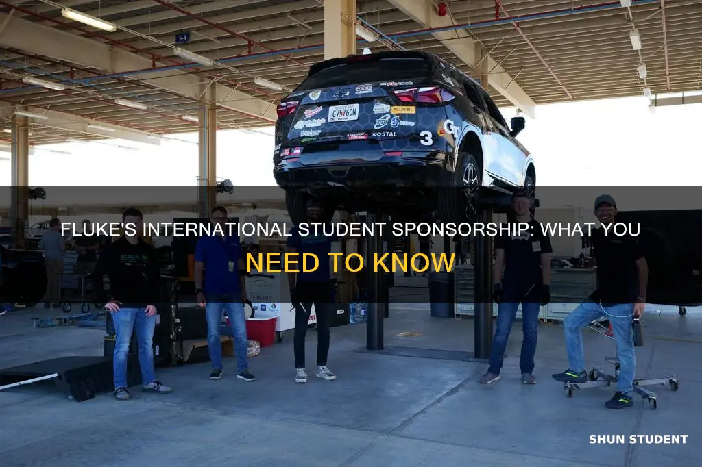does fluke sponsor international students