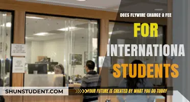 Flywire Fee Concerns for International Students