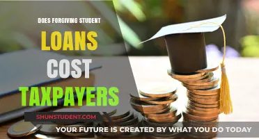 Forgiving Student Loans: Who Pays? Taxpayer Costs Explained