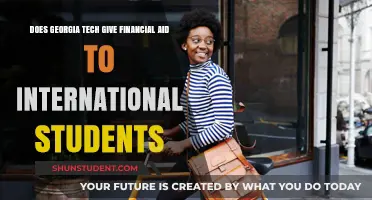 Financial Aid for International Students at Georgia Tech