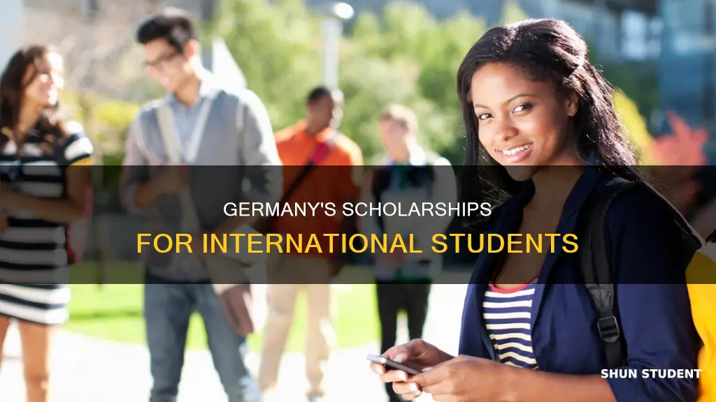 does germany give scholarships to international students