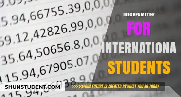 GPA's Importance for International Students: A Crucial Factor?