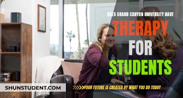 Grand Canyon University: Student Therapy Services Available?