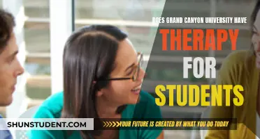Grand Canyon University: Student Therapy Services?