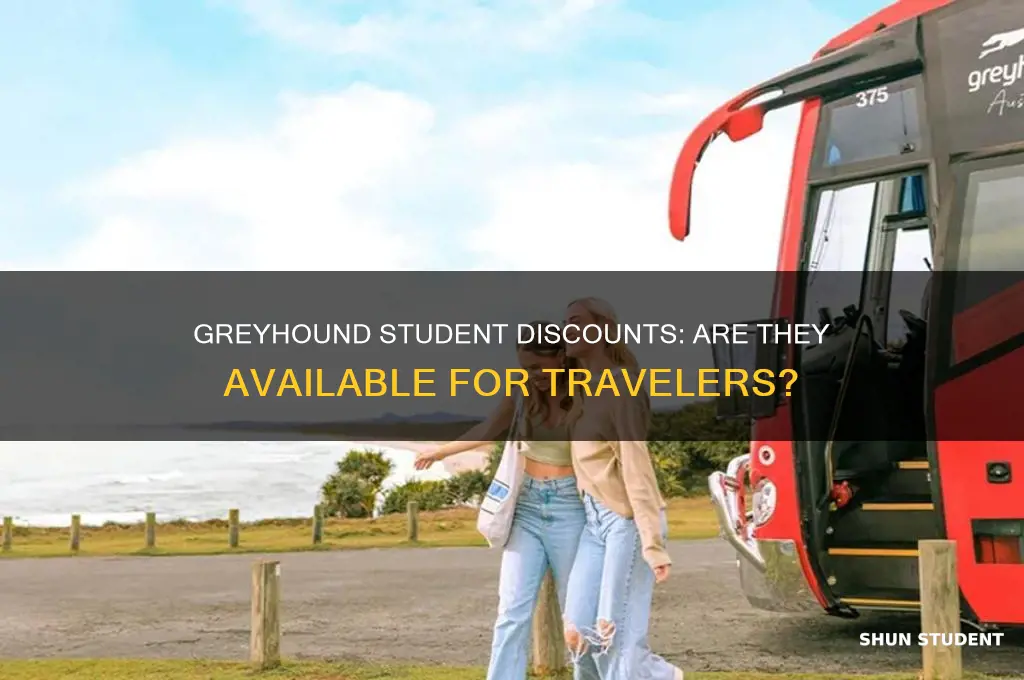 does greyhound do student discounts