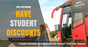 Greyhound Student Discounts: Are They Available for Budget-Conscious Travelers?