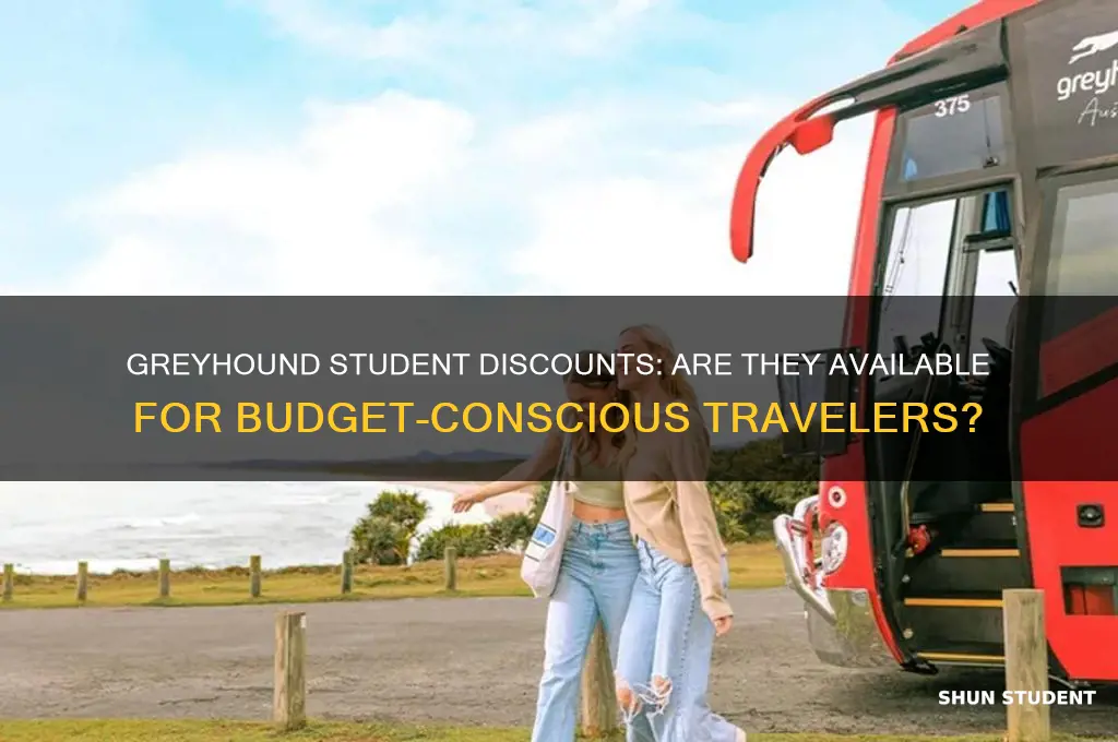 does greyhound have student discounts