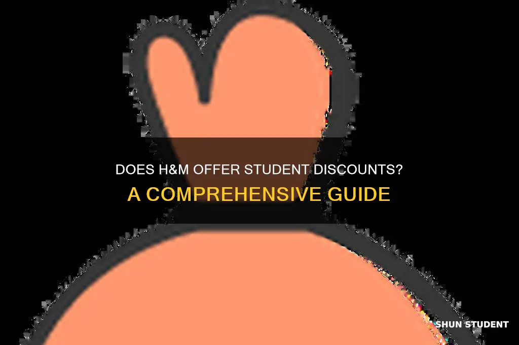 does h and m do student discount