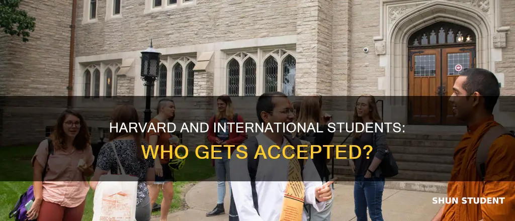 does harvard accept international students
