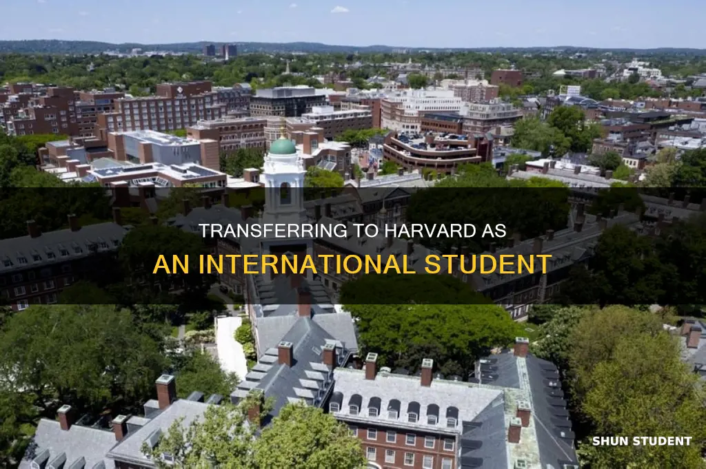 does harvard accept international transfer students