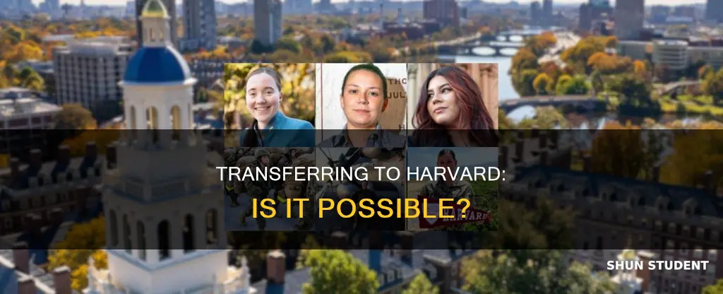 does harvard university accept transfer students