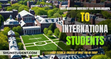 Harvard Scholarships: International Students' Opportunities Explored