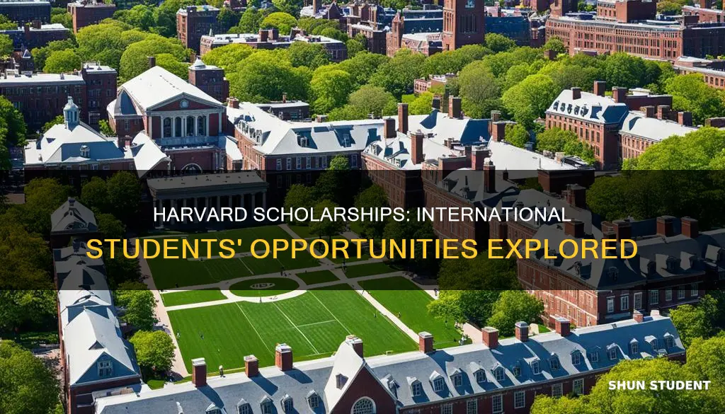 does harvard university give scholarships to international students