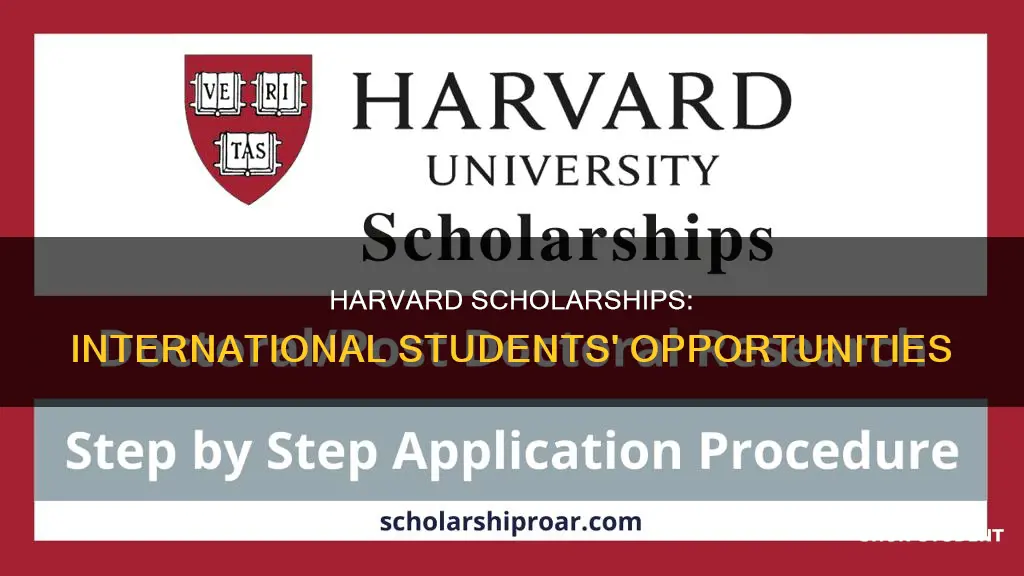 does harvard university give scholarships to international students