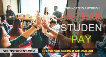 Hosting Foreign Students: Is It Financially Rewarding?