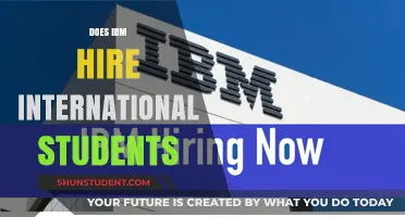 Hiring at IBM: International Students' Prospects