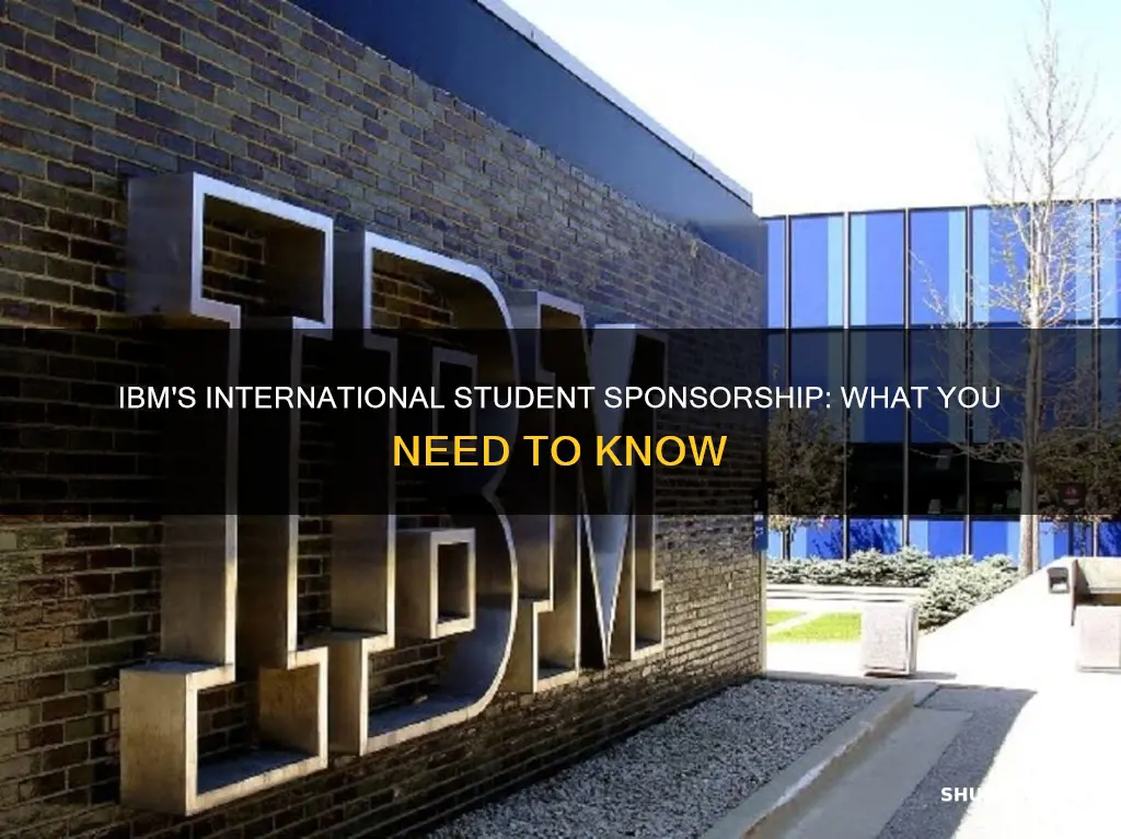 does ibm sponsor international students