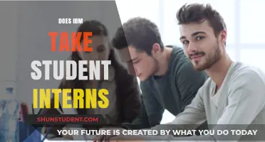 IBM Student Internships: Opportunities and Insights