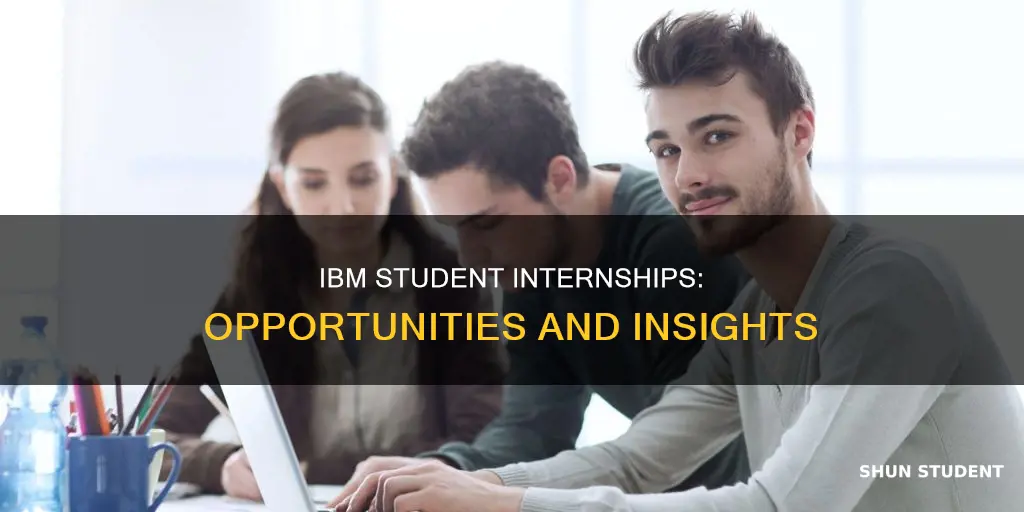 does ibm take student interns