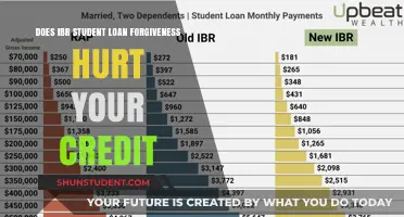 IBR Student Loan Forgiveness: Impact on Your Credit Score Explained