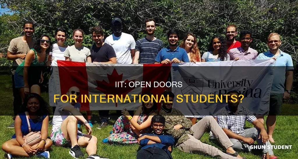 does iit accept international students