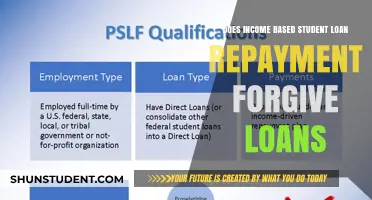 Income-Based Repayment: Does It Forgive Student Loans?