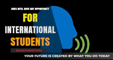 Intel's International Student Opportunities: What You Need to Know